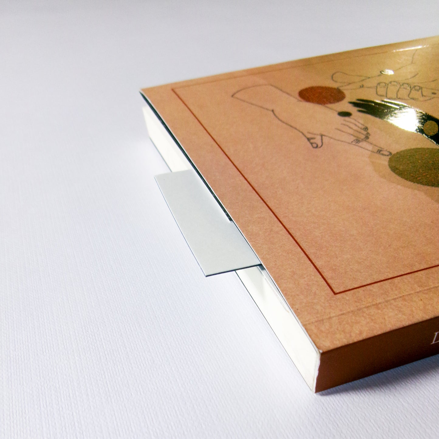 Separadores de libros Patos bravos
