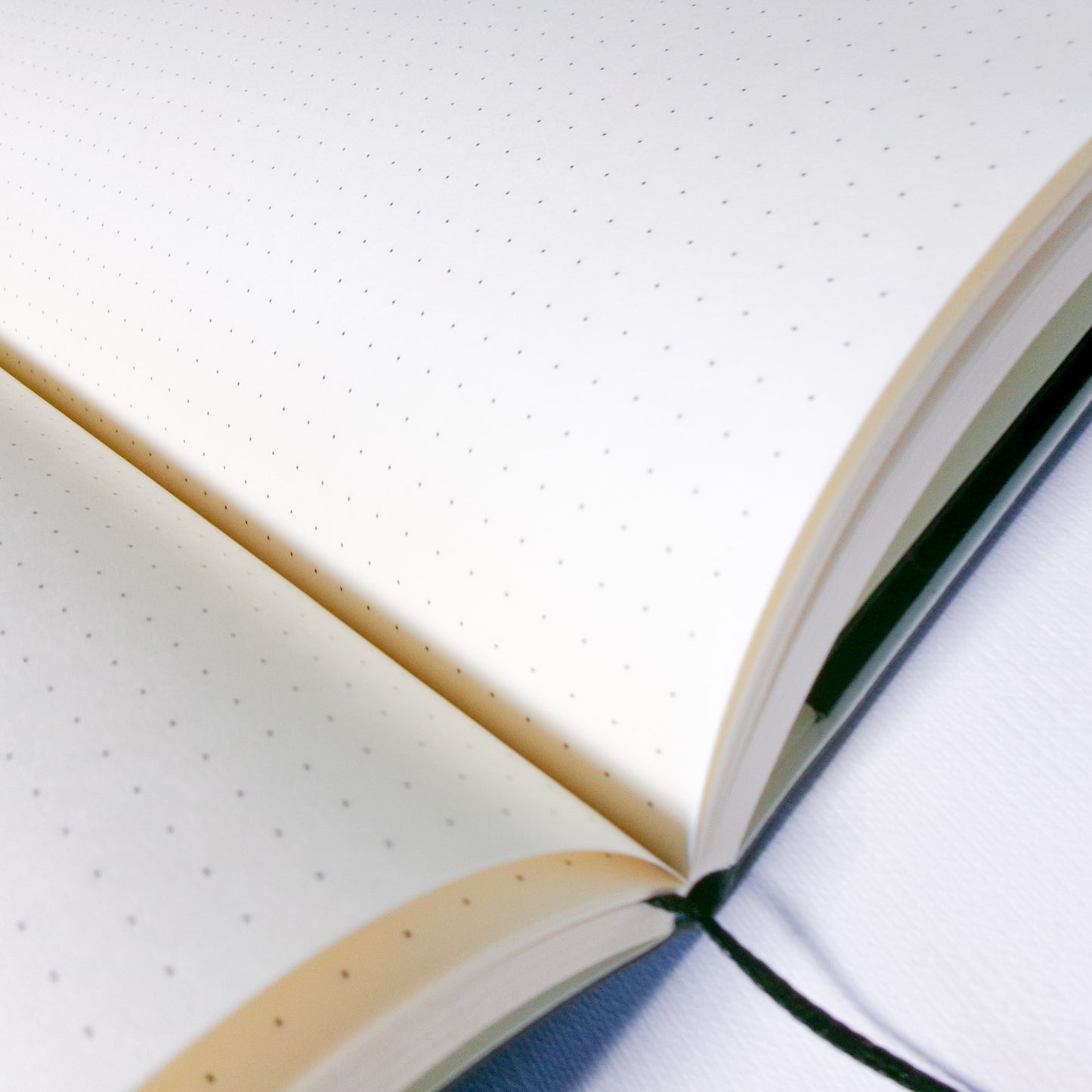 Cuaderno 02 - Notas