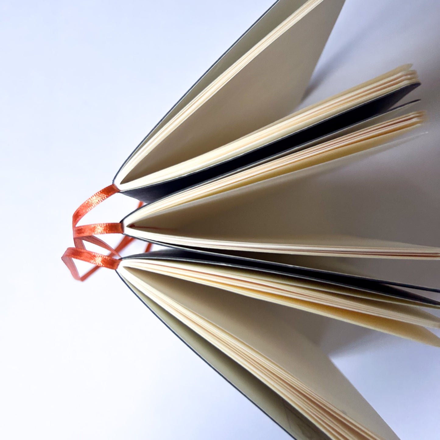Libretas de notas