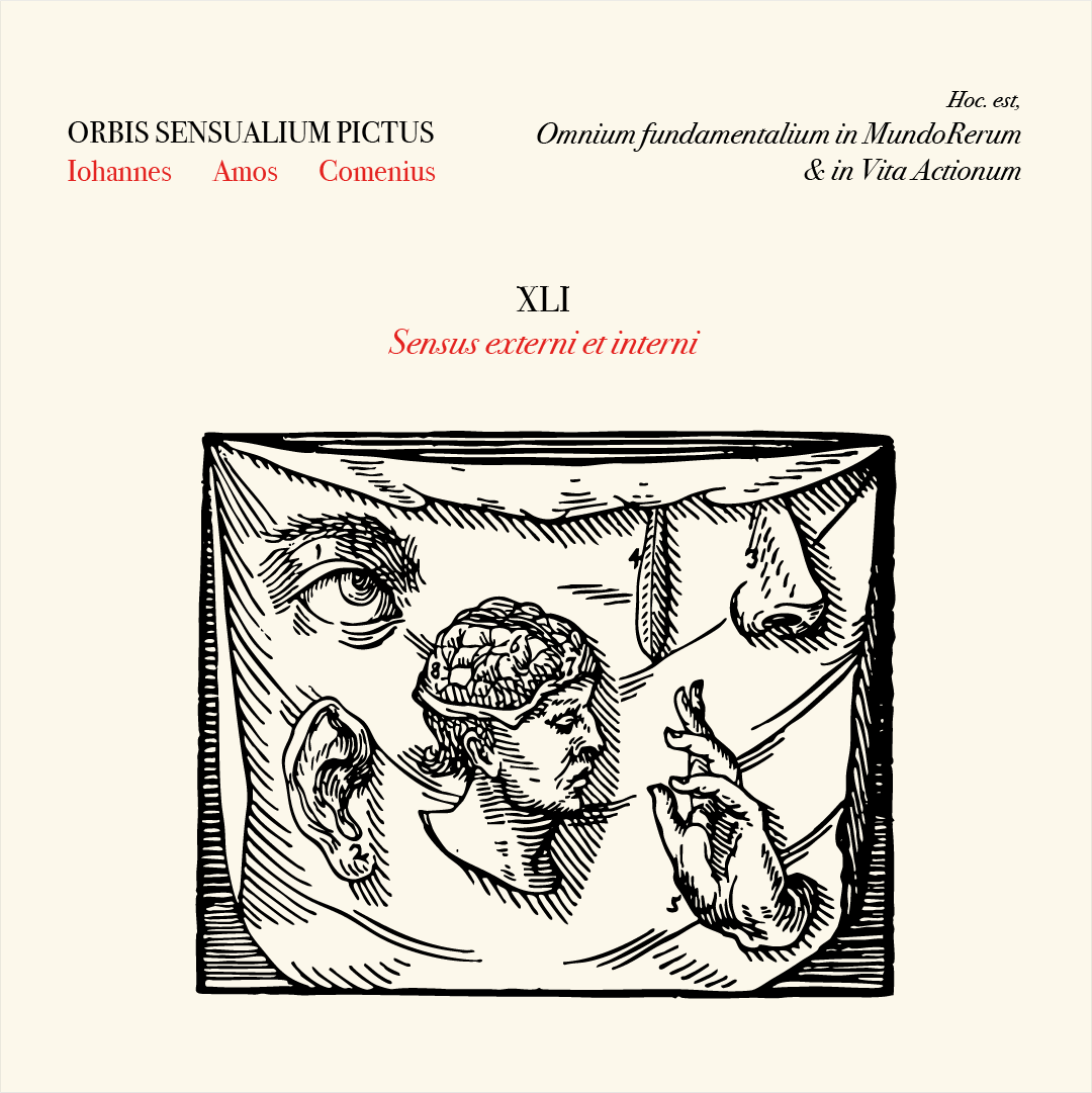 afiche impresión medellin arte orbi sensualium pictus diseño