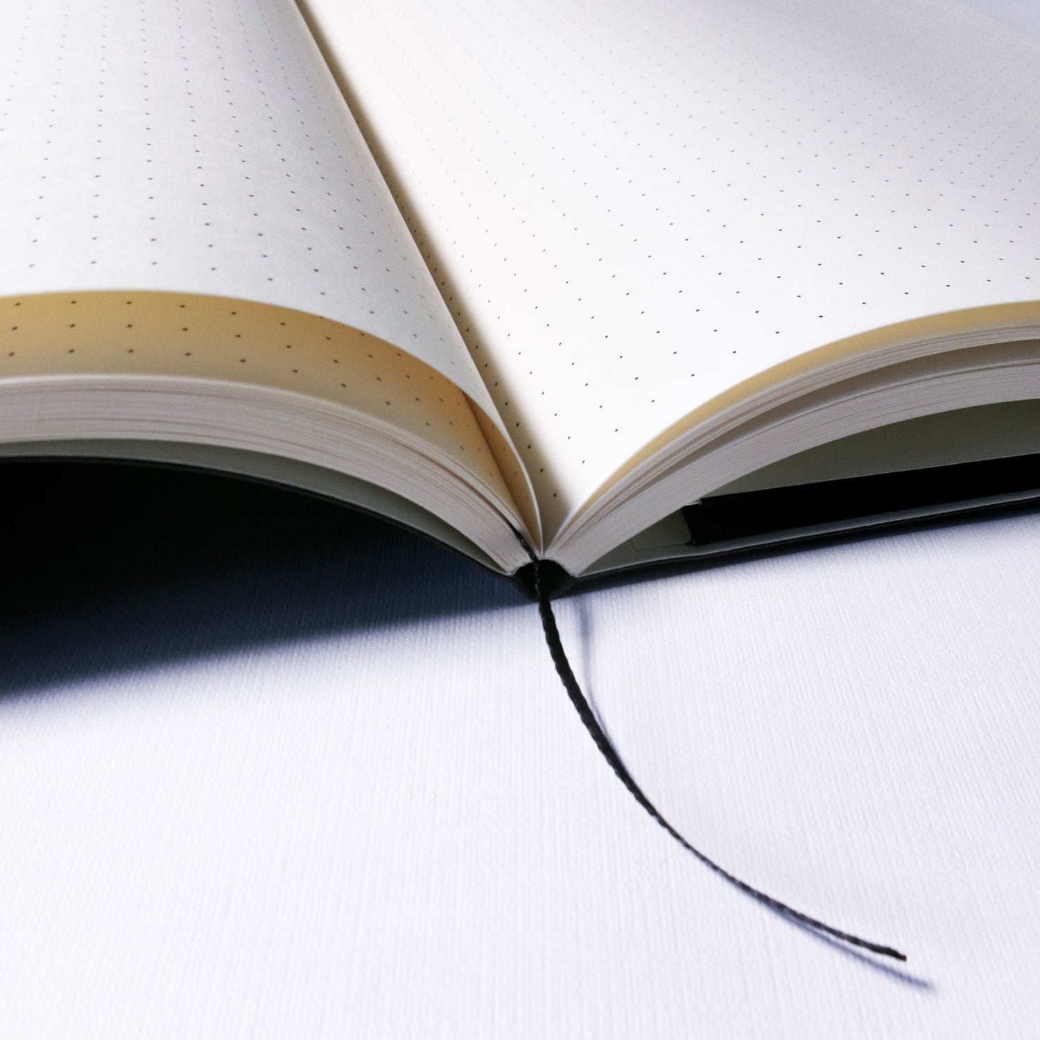 Libretas y cuadernos